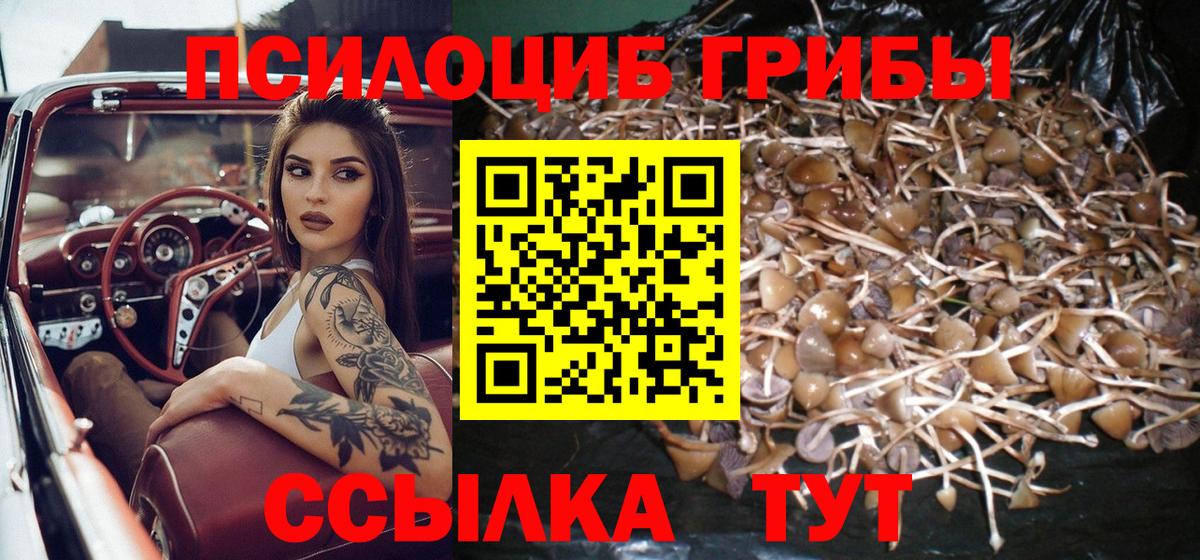 Галлюциногенные грибы GOLDEN TEACHER Петрозаводск