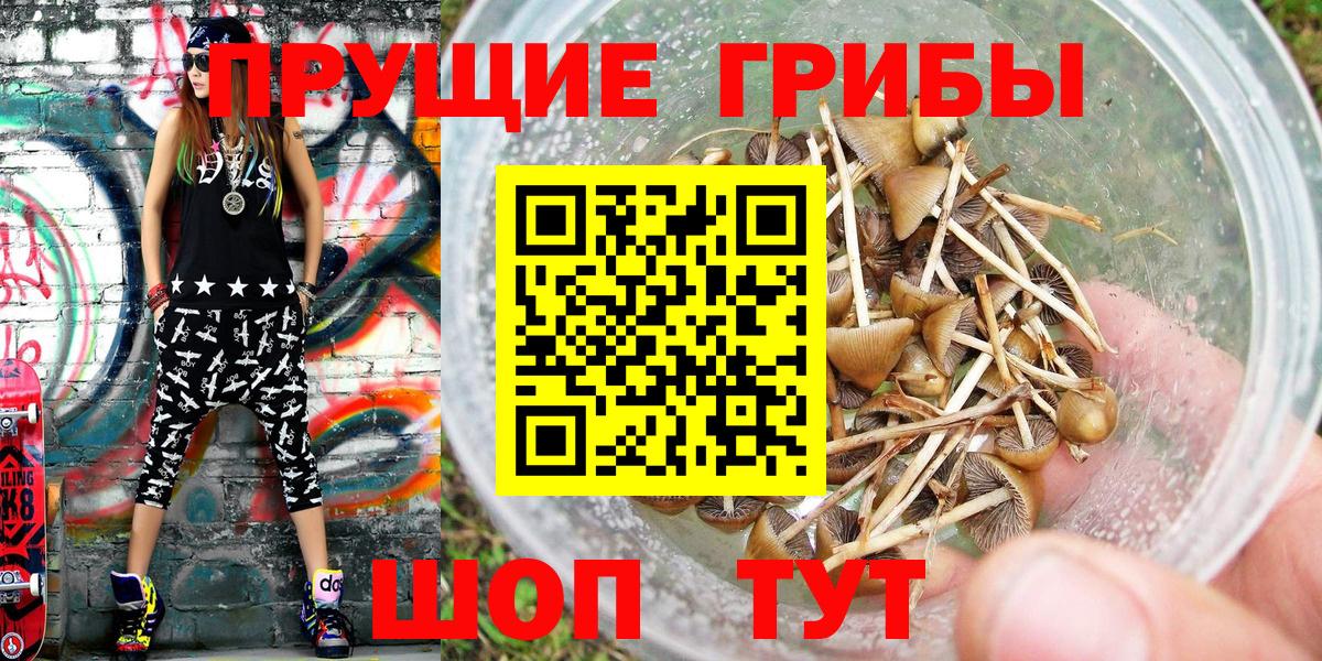 Галлюциногенные грибы Cubensis  Псилоцибиновые грибы ЛСД  Петрозаводск  Вход с VPN 